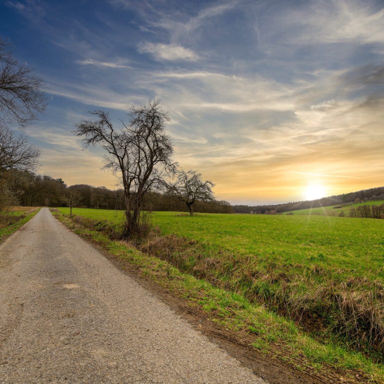 Waldweg in Kleinmünster Ein Waldweg in Kleinmünster in der Abendsonne